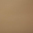 Pindler POOLSIDE TAN Fabric