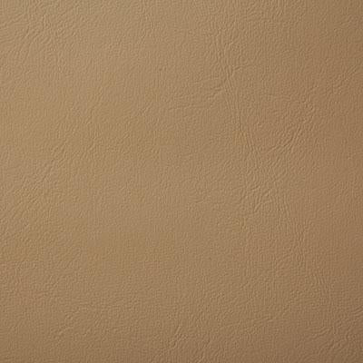 Pindler POOLSIDE TAN Fabric