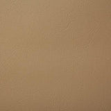 Pindler POOLSIDE TAN Fabric