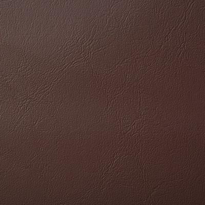 Pindler POOLSIDE BROWN Fabric