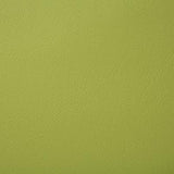 Pindler POOLSIDE SPROUT Fabric