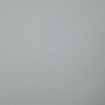 Pindler POOLSIDE DOVE Fabric