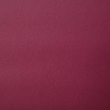 Pindler POOLSIDE FUCHSIA Fabric