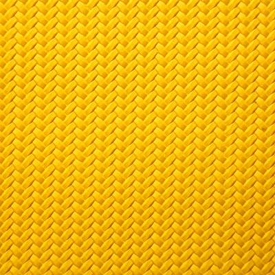 Pindler PORTICO SUN Fabric