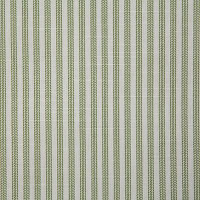 Pindler RAYBROOK LEAF Fabric