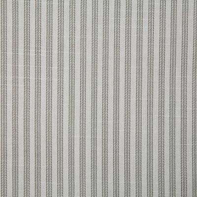 Pindler RAYBROOK STERLING Fabric