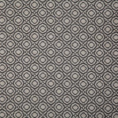 Pindler SAYER ONYX Fabric