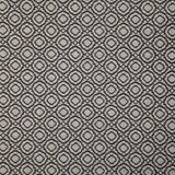 Pindler SAYER ONYX Fabric