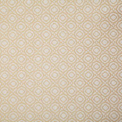 Pindler SAYER BUTTERCUP Fabric