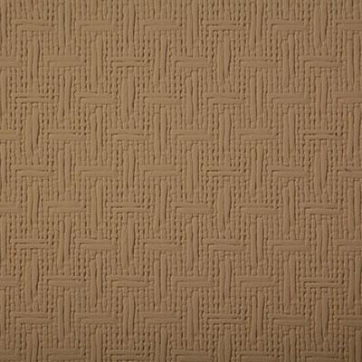 Pindler SUNBURST TAN Fabric