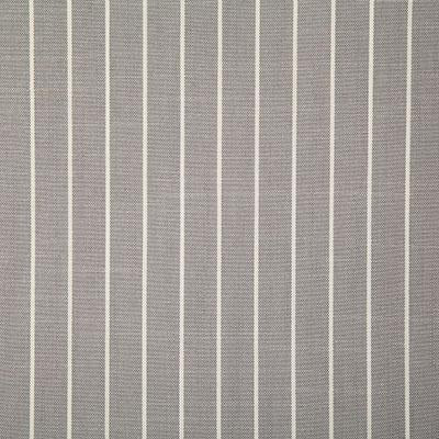 Pindler TALLARD SILVER Fabric