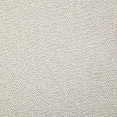 Pindler THORNE SAND Fabric