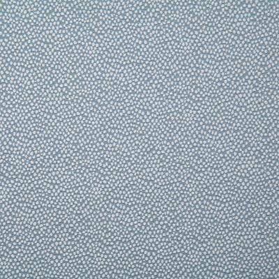 Pindler THORNE SKY Fabric