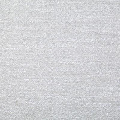 Pindler THACKER WHITE Fabric