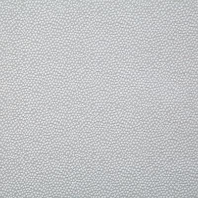 Pindler THORNE STERLING Fabric