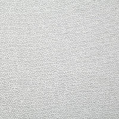 Pindler THORNE WHITE Fabric