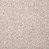 Pindler THORNE CAMEO Fabric