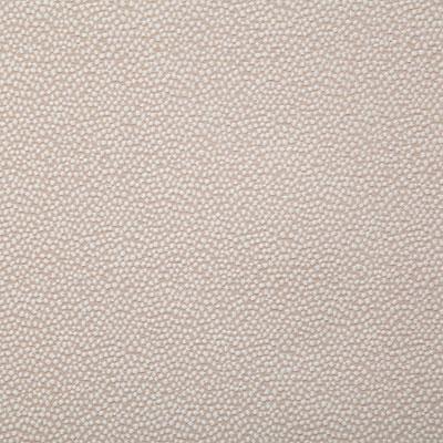 Pindler THORNE CAMEO Fabric