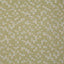 Pindler TILSTEAD CITRUS Fabric