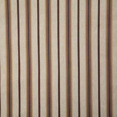 Pindler ULSTER JAVA Fabric
