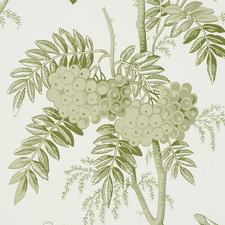 Schumacher Brantwood Vine Leaf Wallpaper