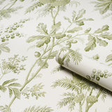 Schumacher Brantwood Vine Leaf Wallpaper