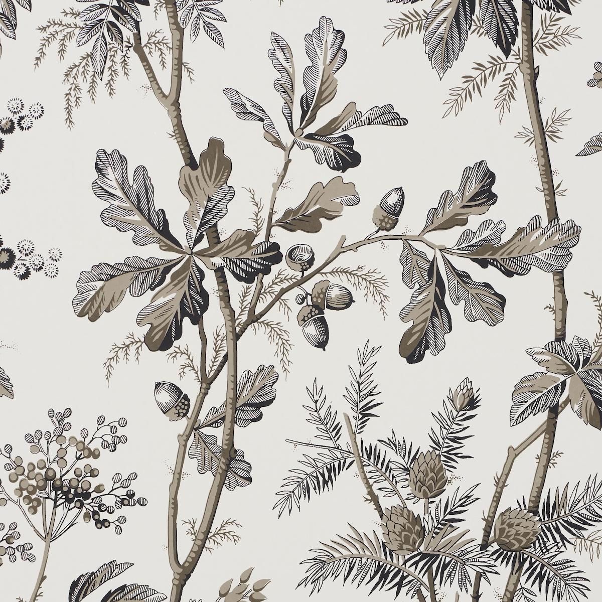 Schumacher Brantwood Vine Graphite Wallpaper