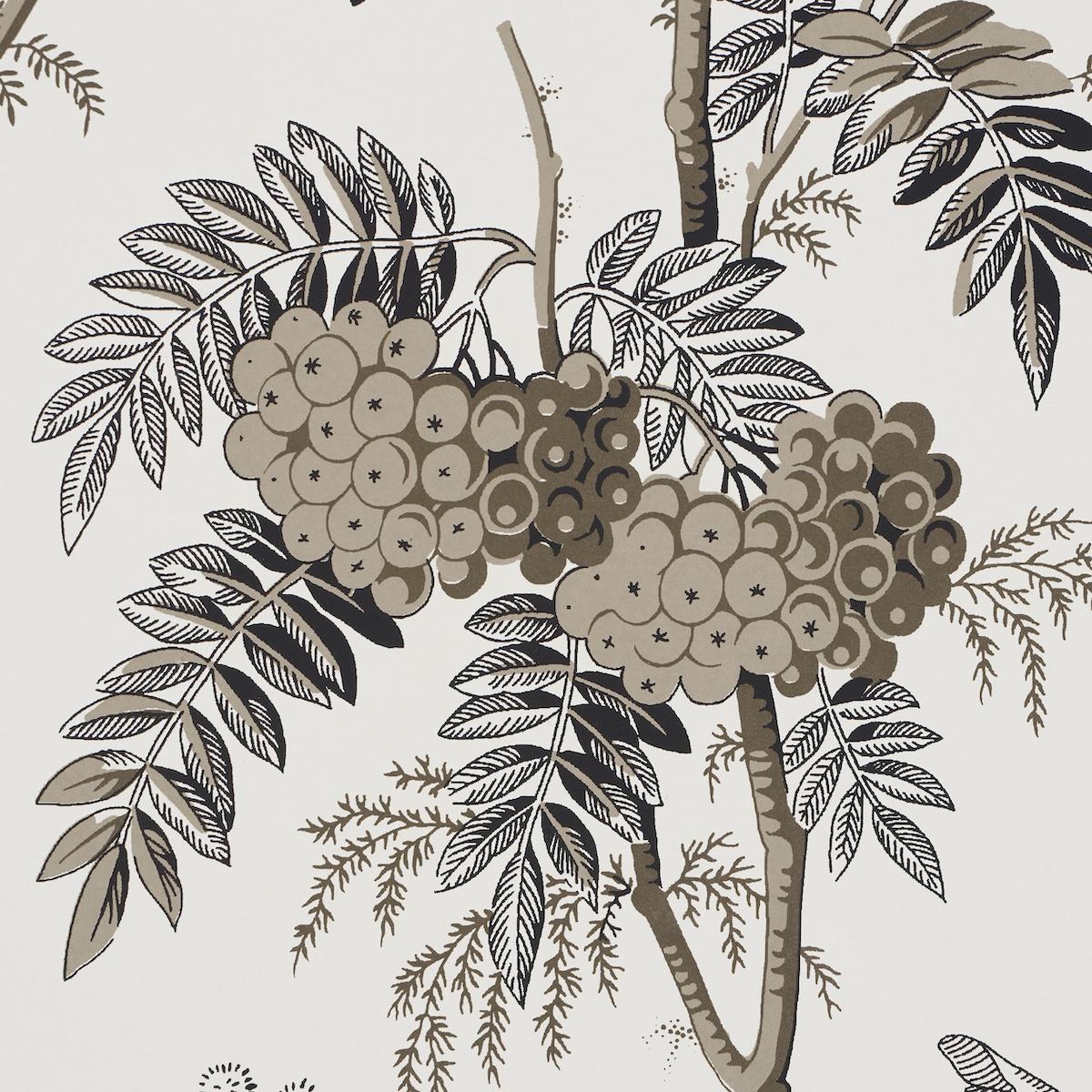 Schumacher Brantwood Vine Graphite Wallpaper