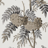 Schumacher Brantwood Vine Graphite Wallpaper