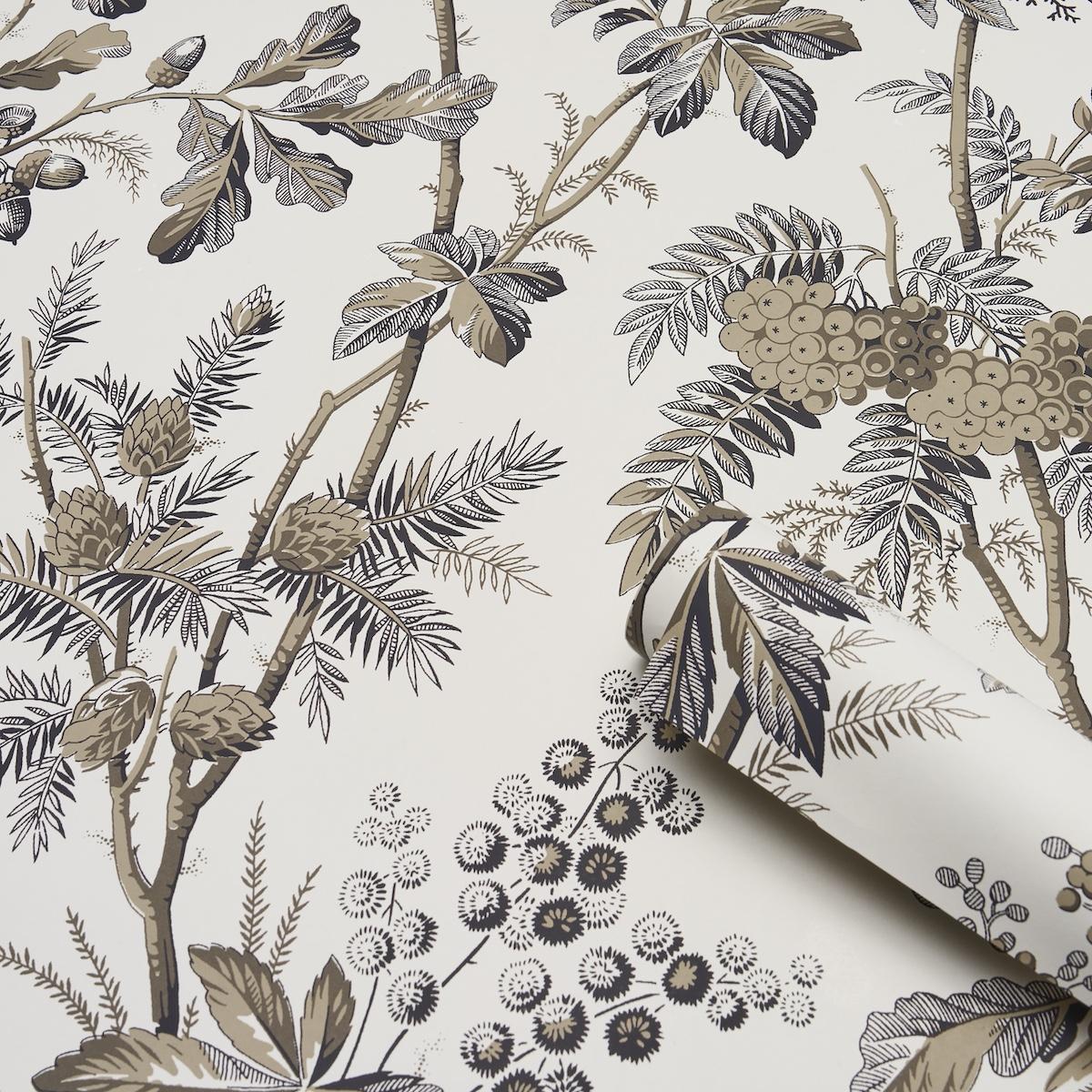 Schumacher Brantwood Vine Graphite Wallpaper