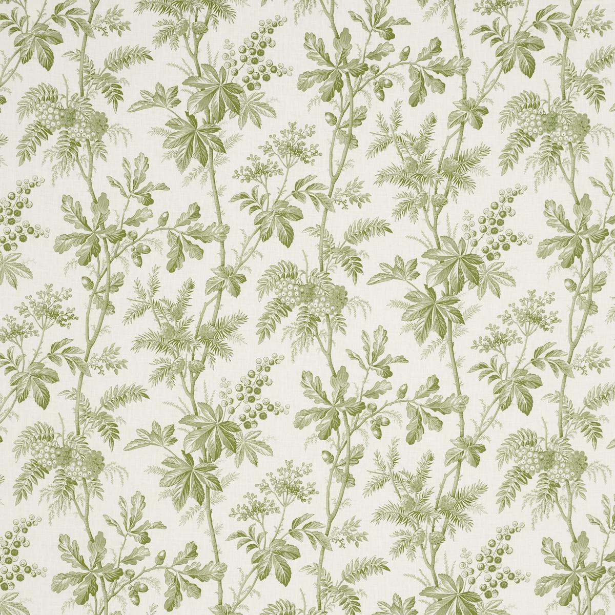 Schumacher Brantwood Vine Leaf Fabric