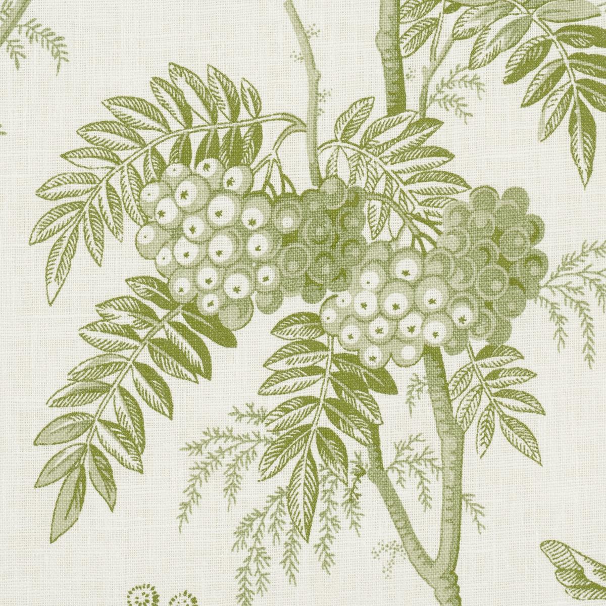 Schumacher Brantwood Vine Leaf Fabric