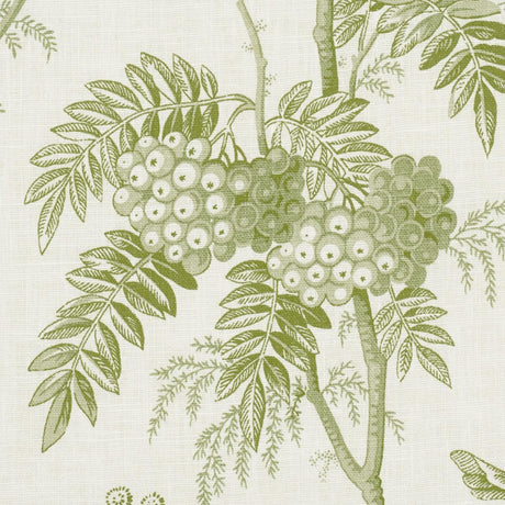 Schumacher Brantwood Vine Leaf Fabric