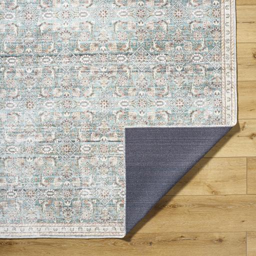 Surya Amelie AML-2403 2' x 2'11" Rug