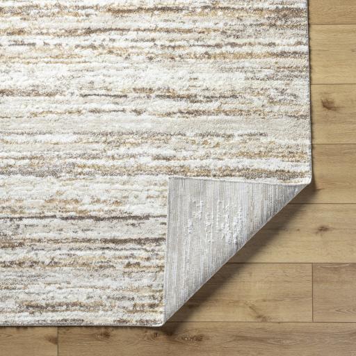 Surya Andorra Plus ARP-2301 2' x 2'11" Rug