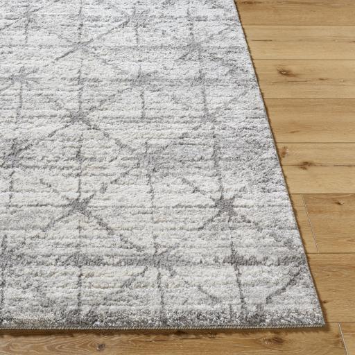 Surya Andorra Plus ARP-2307 7'10" x 10' Rug