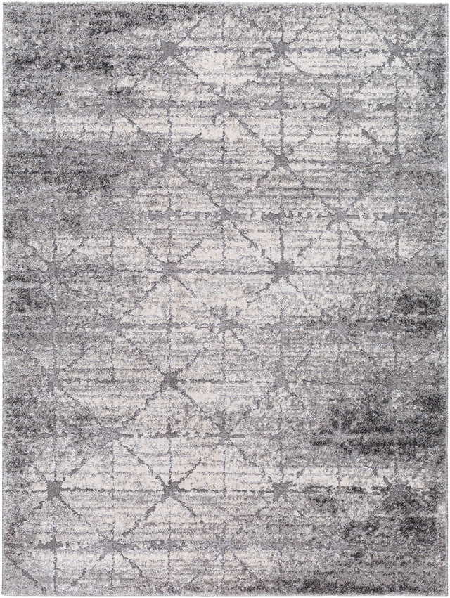 Surya Andorra Plus ARP-2307 2' x 2'11" Rug