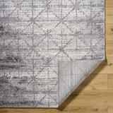 Surya Andorra Plus ARP-2307 2' x 2'11" Rug