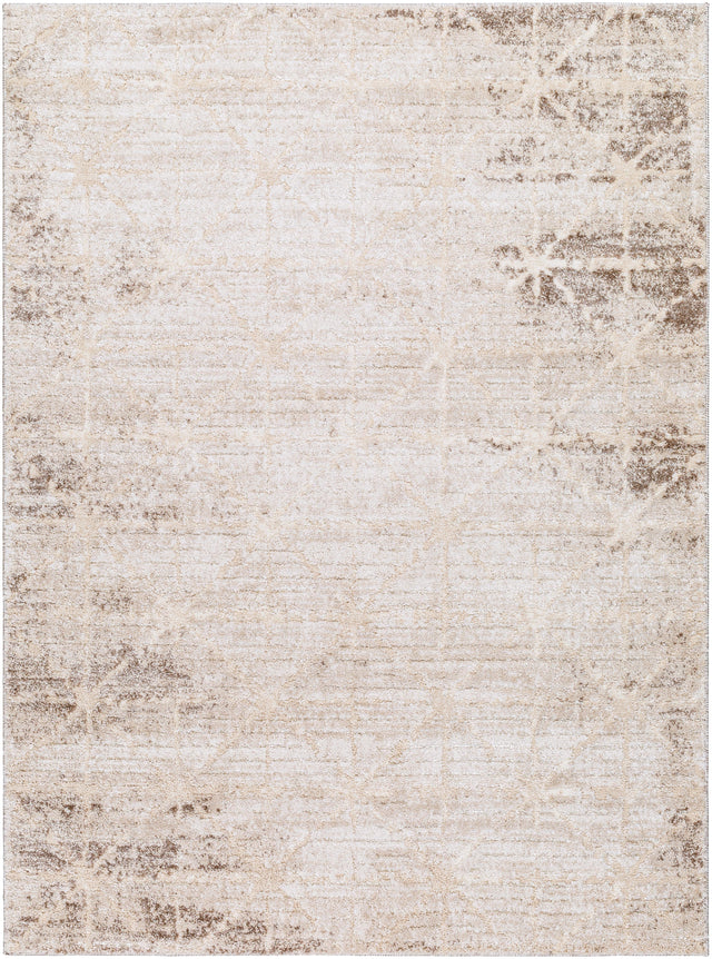 Surya Andorra Plus ARP-2306 5'3" x 7'3" Rug
