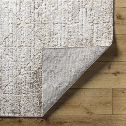 Surya Andorra Plus ARP-2306 Tan 5'3" x 7'3" Rug
