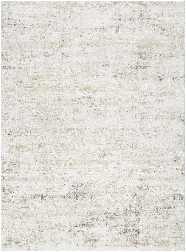 Surya Andorra Plus ARP-2305 2' x 2'11" Rug