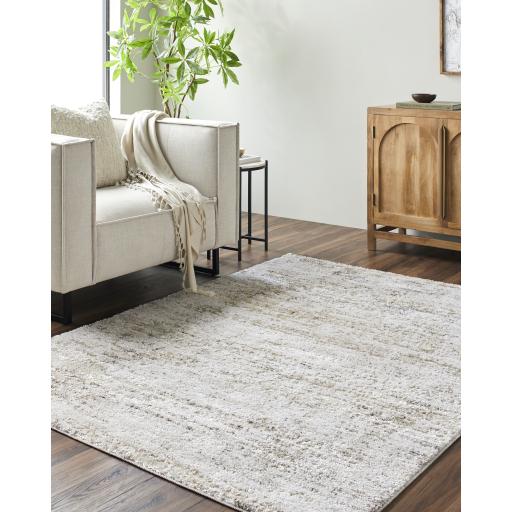 Surya Andorra Plus ARP-2305 2' x 2'11" Rug