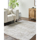 Surya Andorra Plus ARP-2305 2' x 2'11" Rug