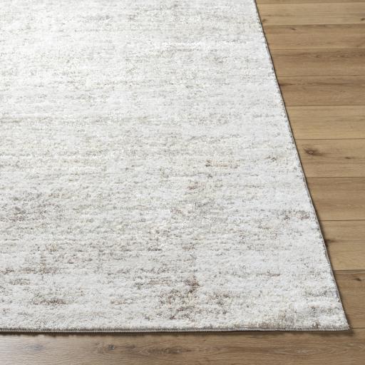Surya Andorra Plus ARP-2305 2' x 2'11" Rug