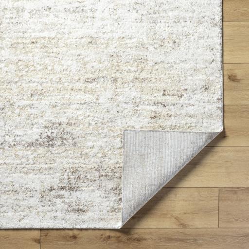 Surya Andorra Plus ARP-2305 2' x 2'11" Rug