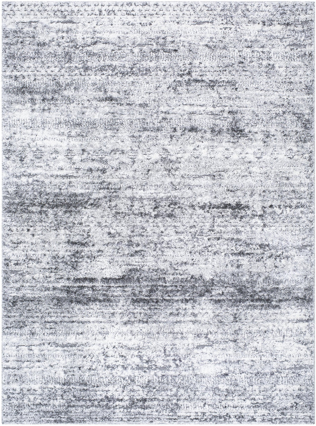 Surya Andorra Plus ARP-2311 5'3" x 7'3" Rug