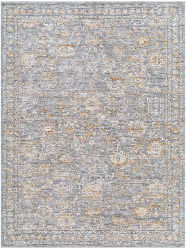 Surya Chapel Hill CHP-2302 6'7" x 9' Rug
