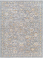 Surya Chapel Hill CHP-2302 6'7" x 9' Rug