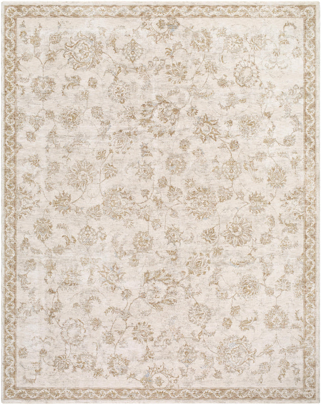 Surya Da Vinci DVC-2310 2'7" x 3'11" Rug