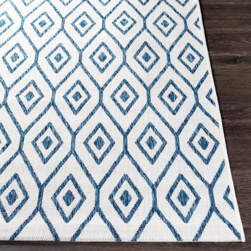Surya Eagean EAG-2391 5'3" x 7'7" Rug